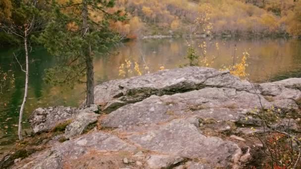 Automne Doré Réserve Naturelle Avec Lac Arbres Créatif Saison Automne — Video