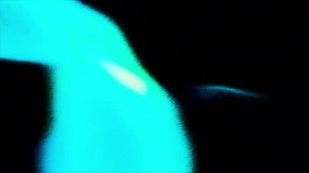 Blue Light Motion Black Background Playing Spot Light Made Abstraction — Stock Video