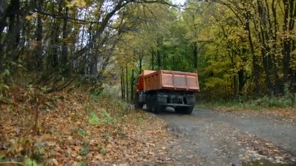 Lastwagen Fahren Auf Der Landstraße Herbstbäumen Entlang Kreativ Malerisch Gelber — Stockvideo