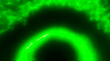 Turuncu ve yeşil daireli siyah arkaplan. Hareket. Dairelerin siluetindeki yanık çizgileri 3 boyutlu olarak aydınlatılıyor. Yüksek kalite 4k görüntü