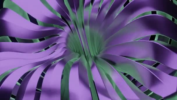 Зеленая Фиолетовая Линии Дизайн Прокручивание Линий Сделанных Анимации Которые Двигаются — стоковое видео