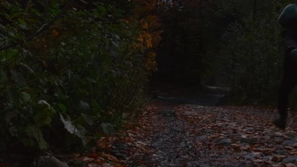 公園で撮影された秋の天気 クリエイティブ カラフルな落葉樹の隣のプードルを通って雨の中を走っている子供 高品質の4K映像 — ストック動画