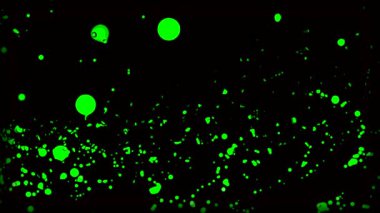 Siyah arka planda büyük yeşil parıltı. Hareket. Çizgi film animasyonunda uçan yeşil parçacıklar. Yüksek kalite 4k görüntü