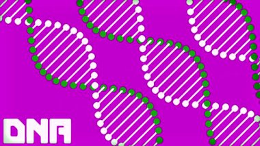 Mor ve yeşil arkaplan ve DNA şeması. Tasarım. Bilgisayar soyutlamasında dönen DNA molekülleri ile parlak bir arkaplan. Yüksek kalite 4k görüntü