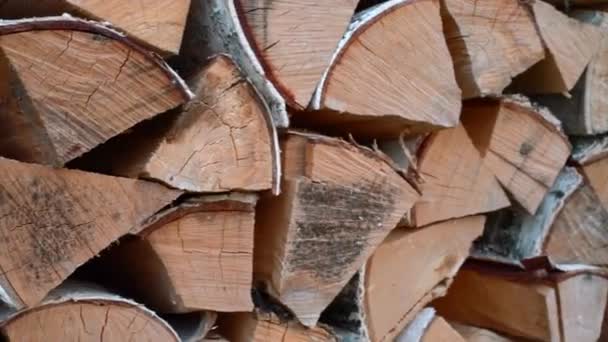 Close Troncos Árvores Secas Picadas São Colocados Fileiras Mídia Lareira — Vídeo de Stock