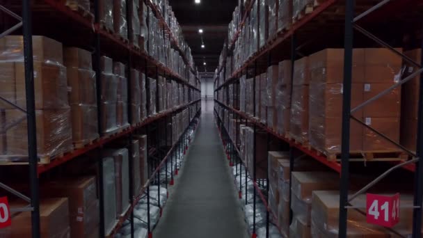 Αποθήκες Μεγάλη Δομή Logistics Εμπόριο Κουτιά Στα Ράφια Δημιουργικό Βιομηχανική — Αρχείο Βίντεο