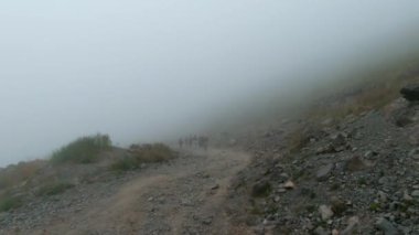 Bir grup aktif turist sis içinde dağ yolunda yürüyor. Şarjör. Çubuklu turistler bulutlu bir günde yokuş yukarı giderler. Dağda yoğun sis bulutlu bir günde turistlerle. 