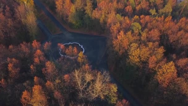秋天森林和交叉口的俯瞰 鸟瞰着有道路的秋天森林 秋林十字路口的古泉 — 图库视频影像