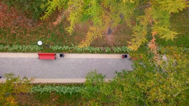 Ścieżka Parkingowa Ławkami Przechodzącą Osobą Klip Widok Góry Piękny Zielony — Wideo stockowe