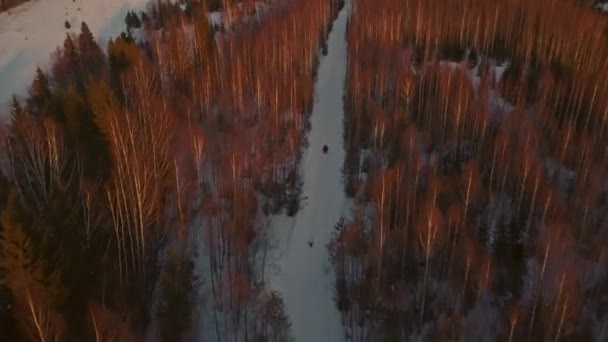 Vistas Invierno Tomadas Desde Helicóptero Clip Pequeños Pueblos Medio Bosques — Vídeos de Stock