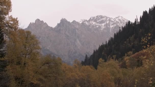 Een Vriendelijke Wandeling Bergen Creatief Natte Bladeren Een Modderige Weg — Stockvideo