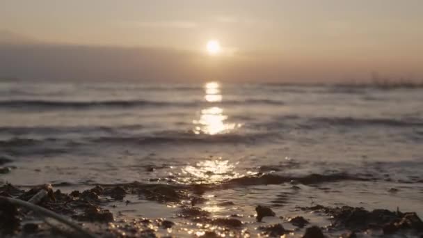 Denizde Bir Tatil Yaratıcı Deniz Çok Güzel Sakin Bir Manzara — Stok video