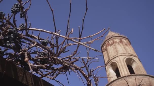 Grote Torens Begroeid Met Bomen Actie Zomer Landschap Met Europese — Stockvideo