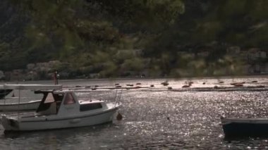 Aile doğada yürür. Yaratıcı. Genç bir aile denize yakın bir ormanda yürüyor ve orada gemilere biniyorlar. Yüksek kalite 4k görüntü