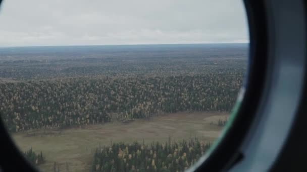 Patrząc Przez Okno Samolotu Podczas Lotu Klip Niekończący Się Zielony — Wideo stockowe