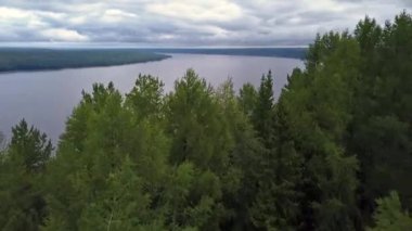 Nehir ve ormanlı yaz manzarası. Şarjör. Yeşil filizlenen ağaçların etrafındaki küçük bir göl drone görüntüsü. Yüksek kalite 4k görüntü