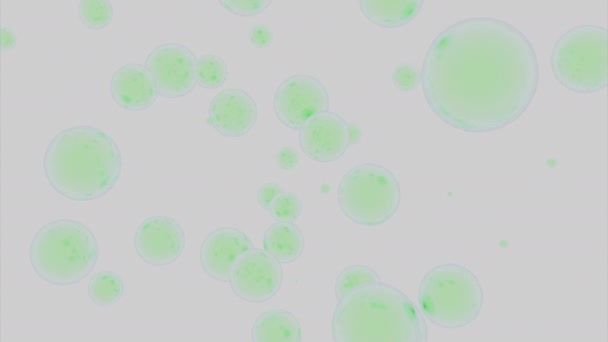 明亮的圆形气泡在白色的背景上飘扬 五彩缤纷的球体 — 图库视频影像