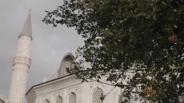 배경에 모스크의 미나렛 행동이요 나무와 모스크 — 비디오