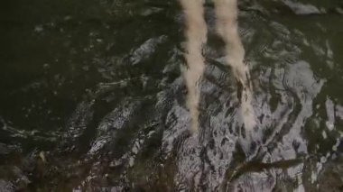 Akıntılı suda ayaklar. Yaratıcı. Su dalgalarının yavaş çekim gücü, su altında ayaklar. Ormanda yazın, doğal gölette ayaklar suyun altında.. 