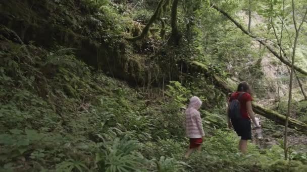 Ludzie Ruchu Kreatywny Turyści Spacerujący Przyrodzie Wokół Roślin Rzek Niesamowitymi — Wideo stockowe