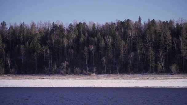 从鸟瞰的角度来看冬季森林 高大的绿色冷杉树矗立在一条冰冻的河边 优质Fullhd影片 — 图库视频影像