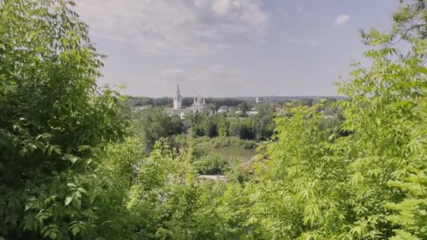 Літній Спокійний Пейзаж Мистецтво Спокійний Вид Зеленими Листяними Деревами Великими — стокове відео