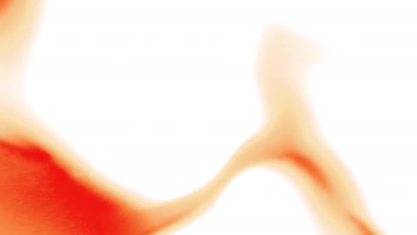 Белый Оранжевый Яркий Свет Движение Свет Абстрактной Анимации Рассеивается Разных — стоковое видео