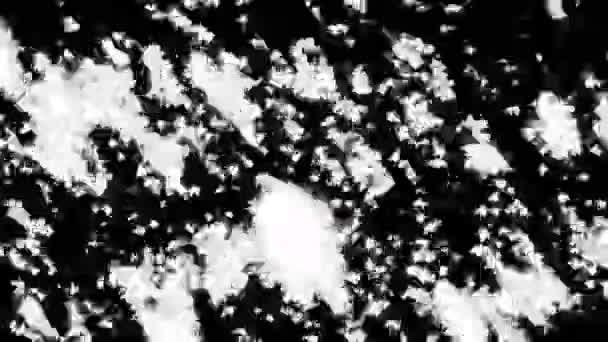 Sıvı Akışında Parıldayan Gümüşi Parıltılar Hareket Piksellerin Akışında Sıvının Etkisiyle — Stok video