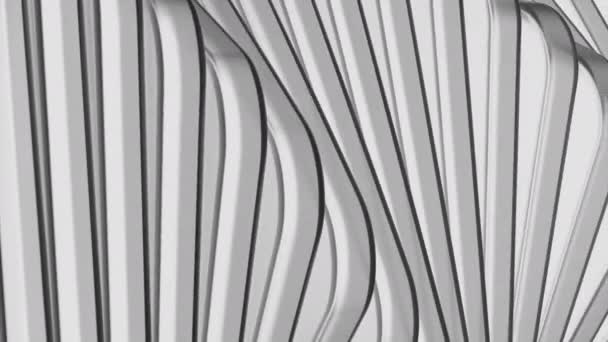 Pozadí Pohyblivými Čarami Křivkami Design Minimalistická Animace Pohyblivých Čar Ohybem — Stock video