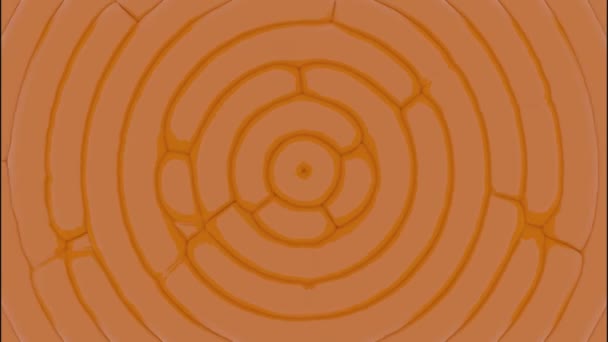 動く円と脈拍を伴うアニメーション デザイン 単純な背景に波が付いている円の脈拍 円波で中心にパルスラインを移動する — ストック動画