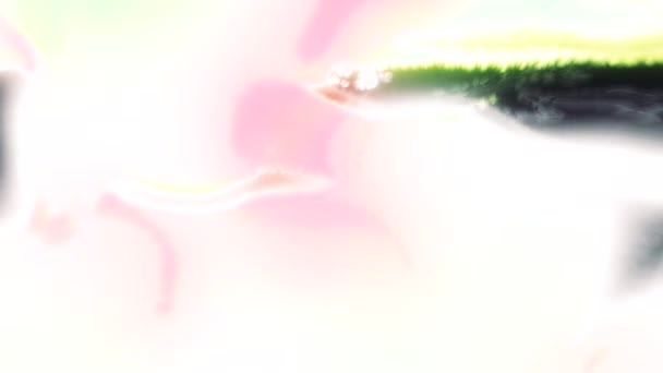 Rosa Otras Nubes Surrealistas Mullidas Voladoras Multicolores Moción Fantasía Brillante — Vídeos de Stock