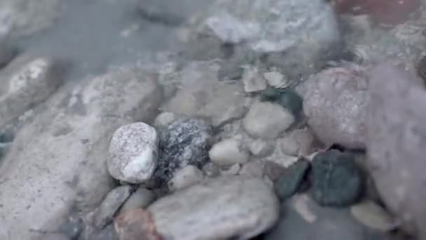 Szürke Kövek Közelsége Tiszta Vízzel Készletfelvétel Kövek Tiszta Vízben Hullámokkal — Stock videók