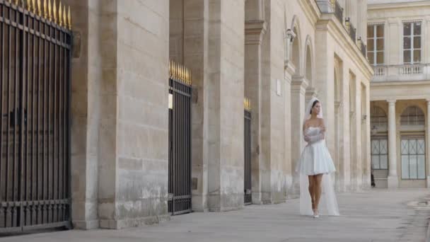 穿着婚纱 头戴白色面纱 身材苗条而优雅的年轻黑发女子 敏感优雅的女性建筑殿堂背景 — 图库视频影像