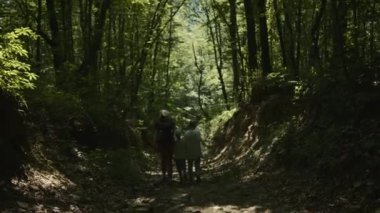 Turistler takım çalışması, mutlu aile yürüyüşleri orman tırmanışları. Yaratıcı. Oğlanların ormanda yürüdüğü bir annenin arka görüntüsü.