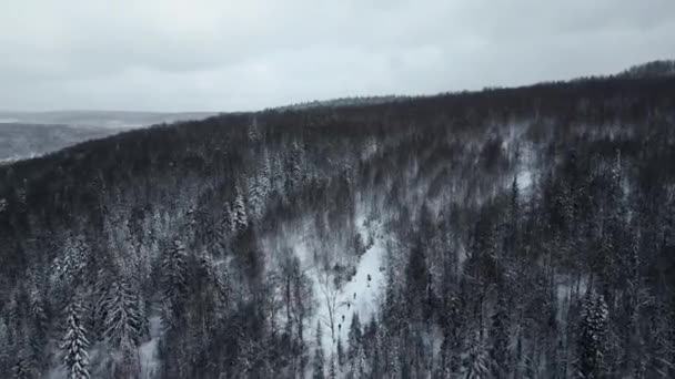 Arktischer Tundra Wald Vor Schwerem Himmel Clip Luftaufnahmen Der Arktischen — Stockvideo