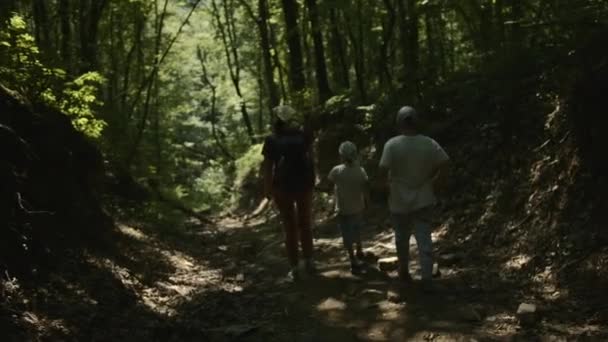 Туристи Працюють Команді Щасливі Сімейні Піші Прогулянки Лісі Креативний Вид — стокове відео