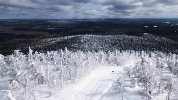 Vista Aérea Pequeño Grupo Excursionistas Caminando Través Del Bosque Congelado — Vídeos de Stock