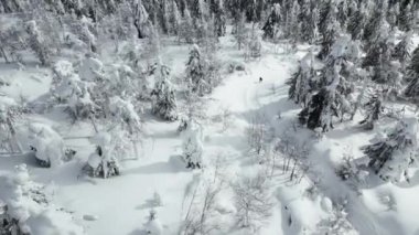 Yorgun bir adam karlı bir ormanda tek başına yürür. Şarjör. Kışın karla kaplı ormanda kaybolmuş bir adamın havadan görünüşü