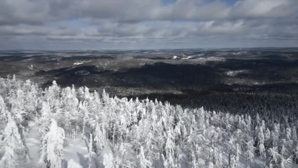 Vinterscenen Skidort Naturparken Klipp Flygfoto Över Skogsklädda Dalen Och Kall — Stockvideo