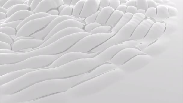 Fondo Abstracto Líquido Con Textura Brillante Lisa Diseño Burbujeante Monocromo — Vídeos de Stock