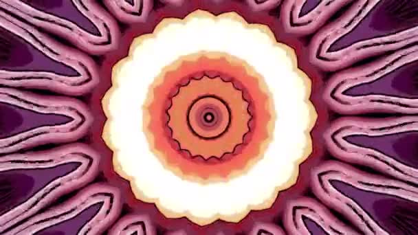 Contrastando Colorido Padrão Floral Movimento Moção Mandala Forma Fractal — Vídeo de Stock