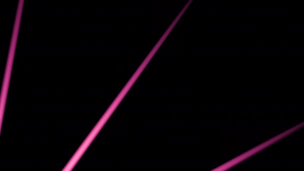 Fondo Negro Con Líneas Corte Púrpura Rosa Diseño Líneas Brillantes — Vídeos de Stock