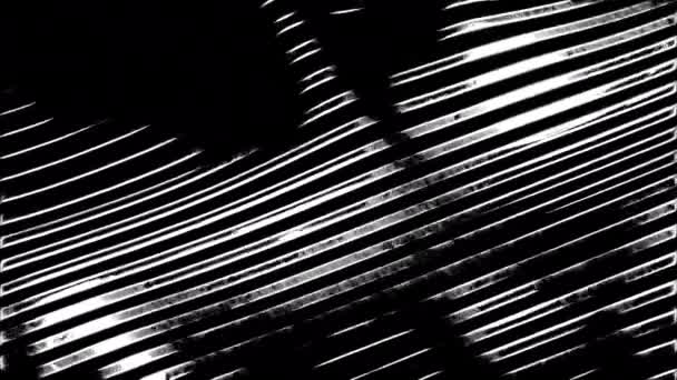 Abstrakcyjne Błyszczące Odblaskowe Metaliczne Fale Wąskich Pasków Projektowanie Czarno Białe — Wideo stockowe