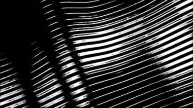 Dar çizgilerden oluşan 3 boyutlu parlak yansıtıcı metalik dalgalar. Tasarım. Eğri çizgileri olan siyah beyaz endüstriyel arka plan