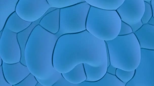 Синьо Рожевий Фон Дизайн Яскраві Кола Наповнення Зроблені Мультиплікаційній Анімації — стокове відео