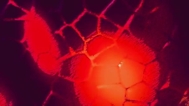显微镜下叶绿体细胞动画 植物细胞的微观形成 研究和基因工程 — 图库视频影像