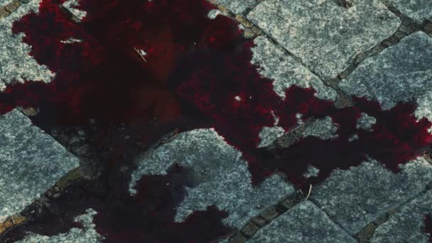 Spilled Blood Asphalt Stockfootage Close Shot Red Goo Road Shimmers — Stock Video
