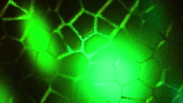 显微镜下叶绿体细胞动画 植物细胞的微观形成 研究和基因工程 — 图库视频影像