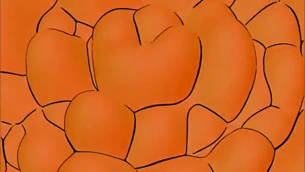 Bílé Oranžové Pozadí Design Šířící Kruhy Vytvořené Kreslené Animaci Vysoce — Stock video