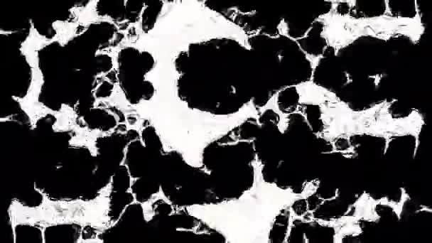 摘要单色活动细胞 黑白相间的生物背景 — 图库视频影像